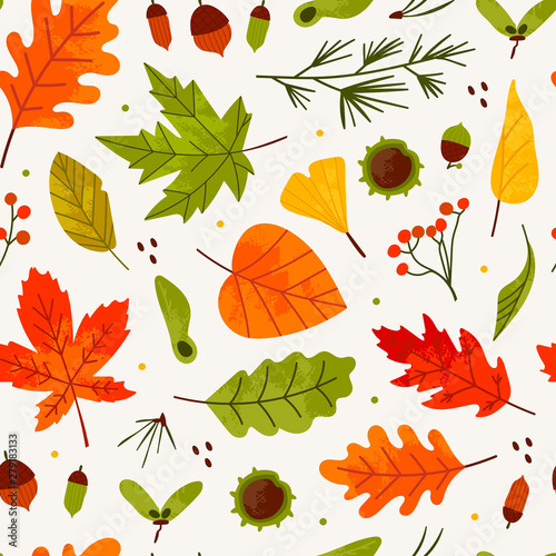 Hand drawn various autumn leaves, rowan, acorn and chestnut. Vector seamless pattern. Colored trendy illustration. Flat design. Stamp texture