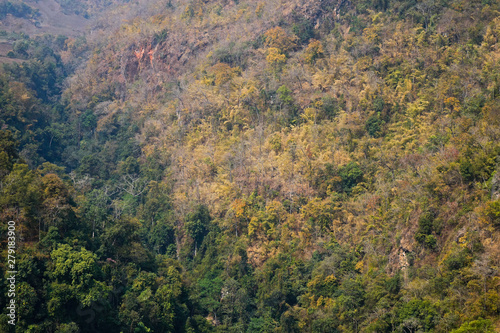 Aerial view of a green forest in Myanmar