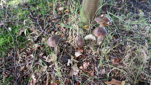 Eine Motorradreise zu den Shetland Inseln über England, Wales und Schottland 