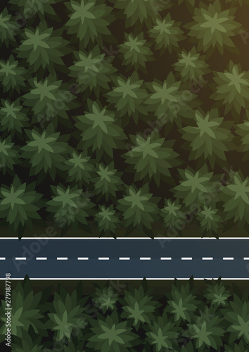 Aerial Top view of the forest and road.