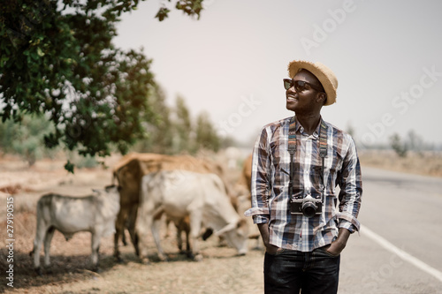 African man photographer traveling in countryside with cows..