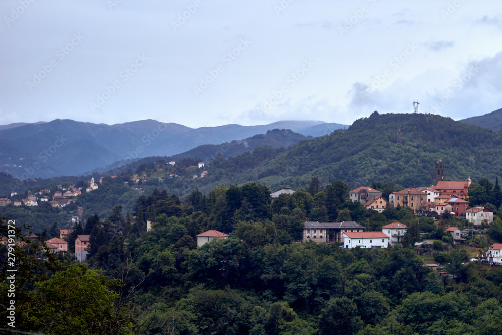 panoramic view of the town in 