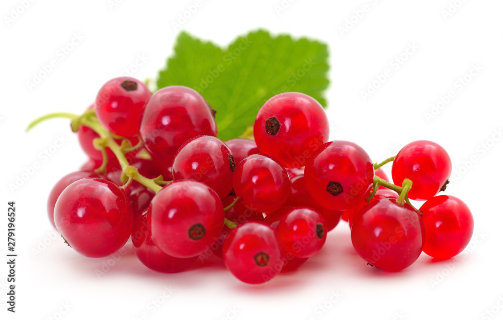 Red currants with green leaves.