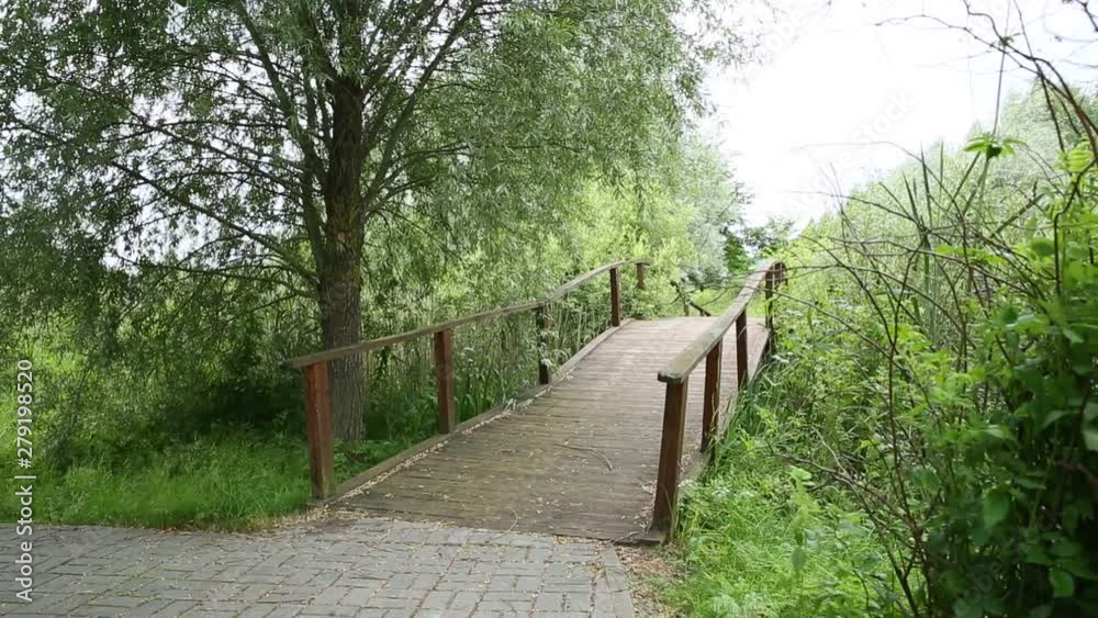 nature in summer, old wooden bridge nature in summer, old wooden bridge