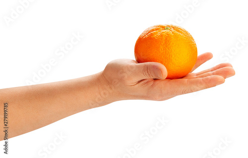 orange fruit in hand
