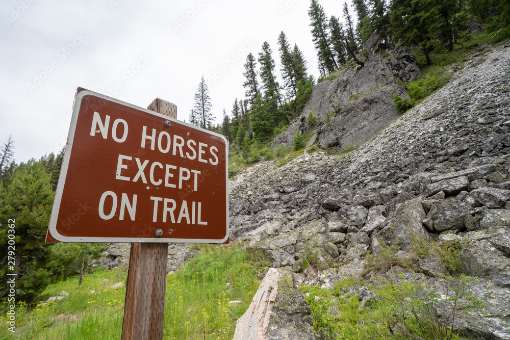 Sign for No Horses Except on Trail, restricting horses and horseback riders from the area. Taken in Idaho in Sawtooth Mountains