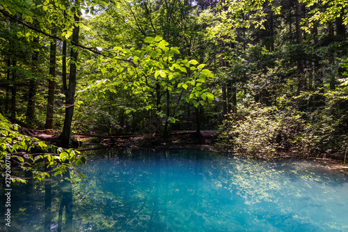Ochiul Beiului,emerald lake on the Cheile Nerei-Beusnita National Park,Caras-Severin,Romania © Kozma