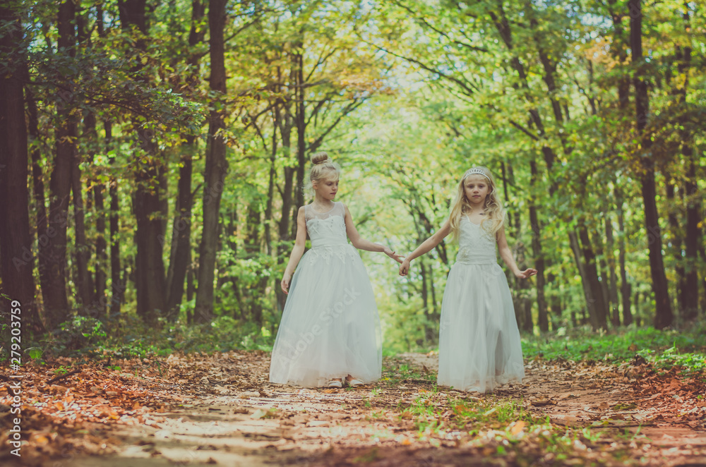 mysterious fairies in forest