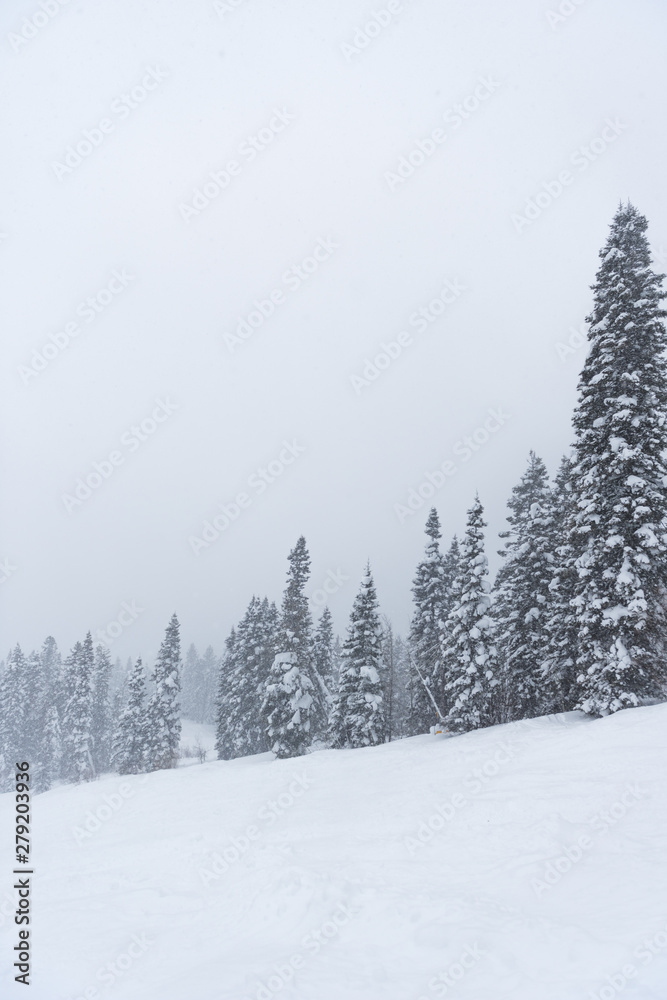 Snowboarding during a snow storm at Tamarack Mountain Resort Snowboarding during a snow storm at Tamarack Mountain Resort
