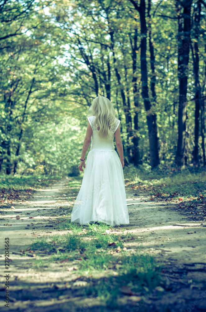 lost fairy princess lost fairy princess