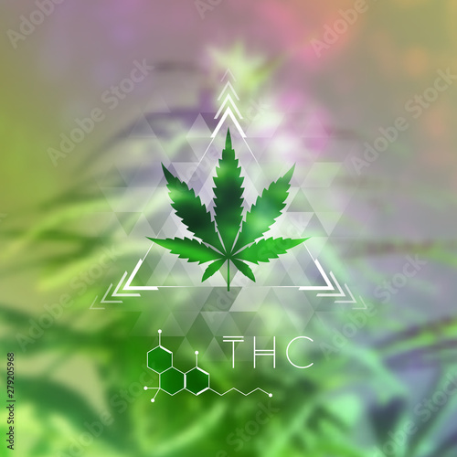Cannabis leaf  sacred geometry forms and molecule thc on wonderful photography background with marijuana plant  Vector template of banner  poster  flyer and etc.