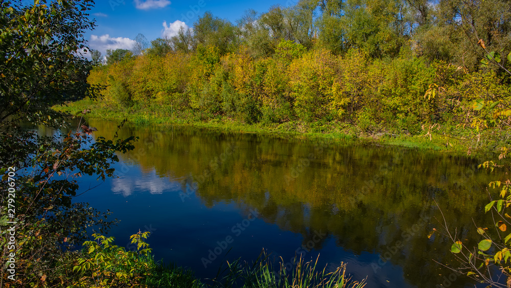 Autumn deciduous forest and river on a sunny day. Amazing landscape.