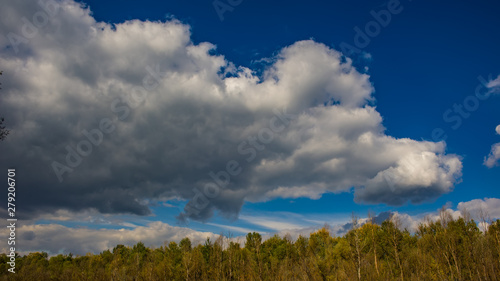 Autumn October Deciduous Forest on Blue Sky Background and White Clouds.
