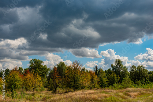 Autumn October Deciduous Forest on Blue Sky Background and White Clouds. © APHOTOSTUDIO