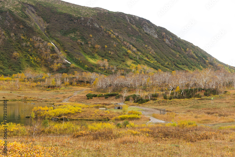 Naklejka premium Beautiful colorful autumn landscape in Vachkazhetz volcano, Kamchatka peninsula, Russia