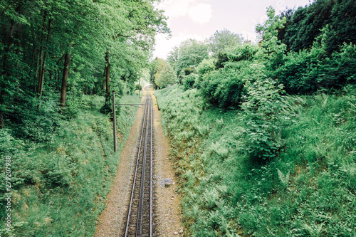 Train on railway transportation in green forest.