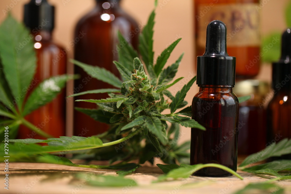 Medical marijuana cannabis cbd oil Medical marijuana cannabis cbd oil