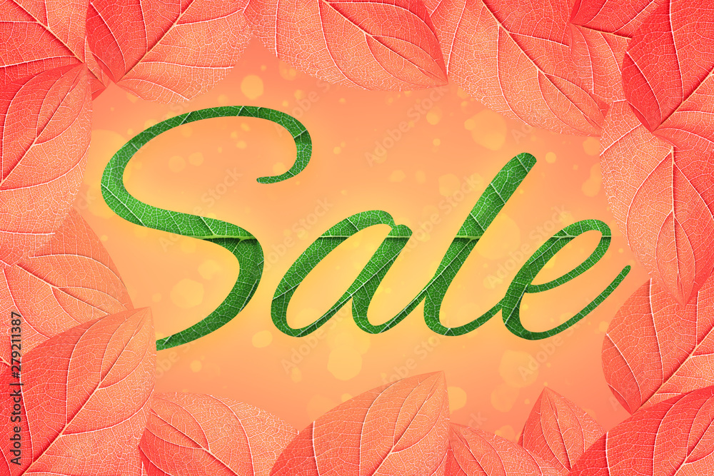 Sale banner with leaves background, exotic floral design for banner, flyer, invitation, poster, web site or greeting card. Sale banner with leaves background, exotic floral design for banner, flyer, invitation, poster, web site or greeting card.