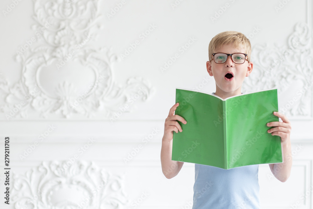custom made wallpaper toronto digitalA little schoolboy in a glasses is reading aloud text from his book on background of white wall