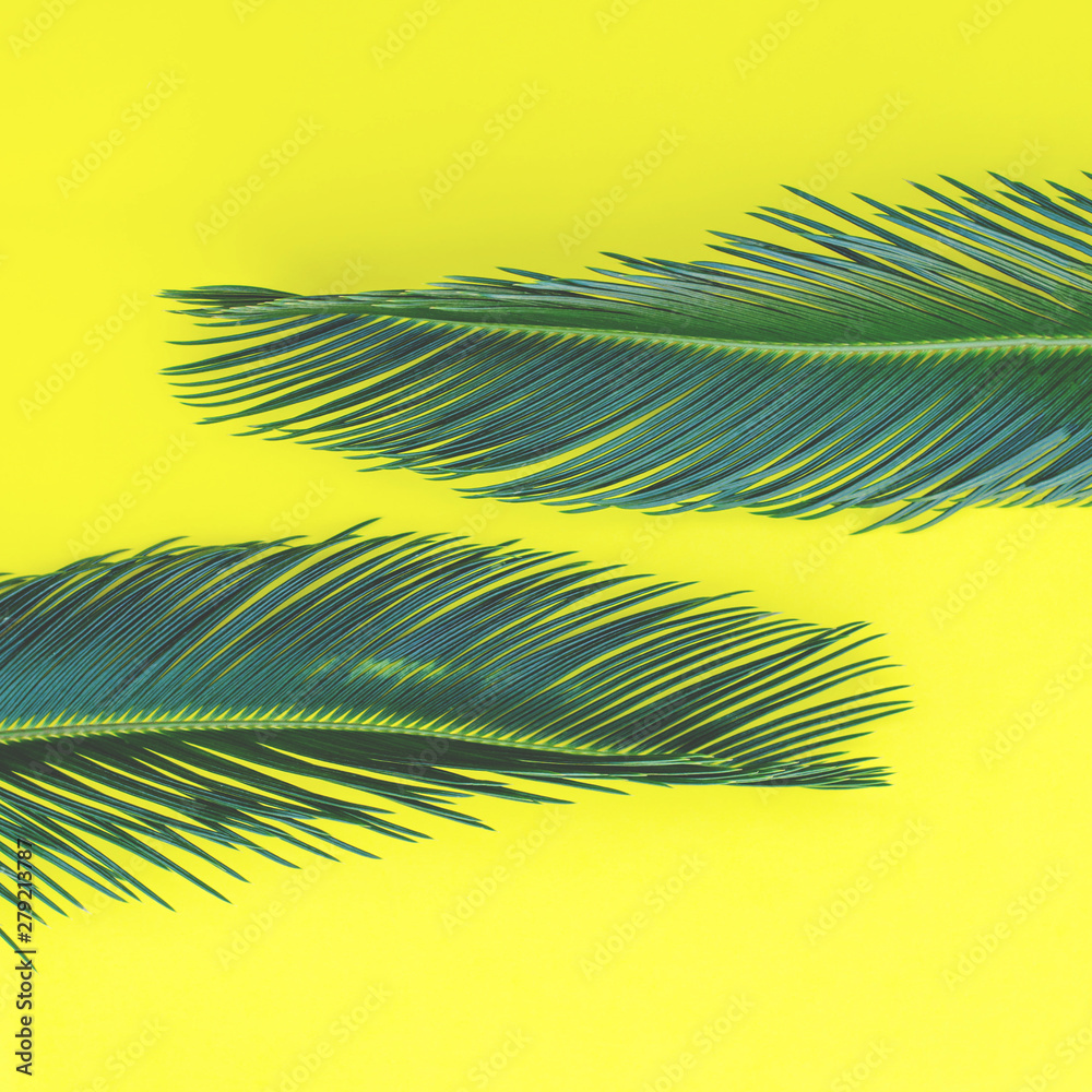 Two branches of palm trees on a yellow background.