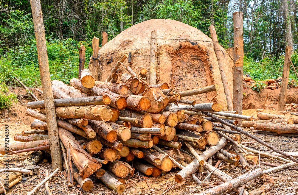 Charcoal kilns at the farm with a pile of eucalyptus wood on the side. Charcoal kilns at the farm with a pile of eucalyptus wood on the side.