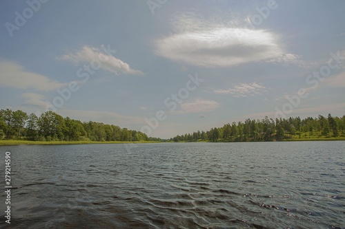 Beautiful view on lake on summer day. Dark lake water surface, green tall trees and blue sky with white clouds. Beautiful nature landscapes. Sweden, Europe.