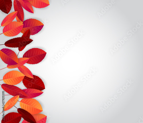 Autumn season background with red and orange leaves and free space for text. Vector illustration.