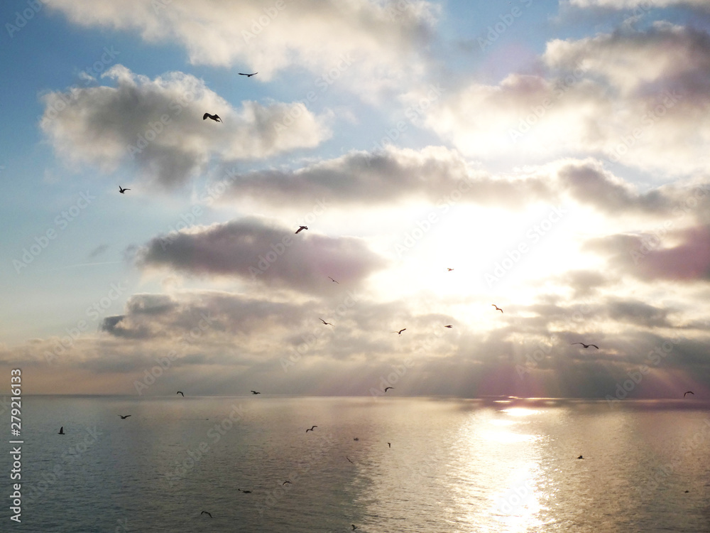 Seagulls flying over the sea Seagulls flying over the sea