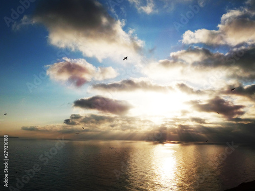 Seagulls flying over the sea