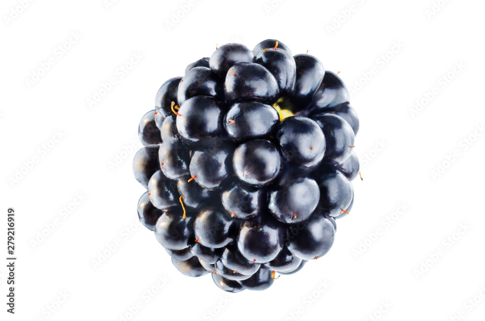 Blackberry on a white isolated background Blackberry on a white isolated background