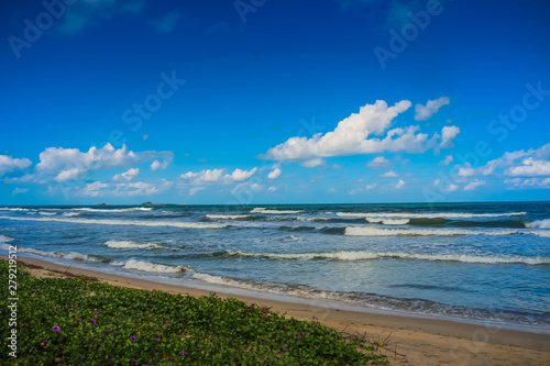 Sea side in Sri lanka 