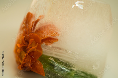  Frozen orange flower in ice in a transparent glass jar with small air bubbles close up