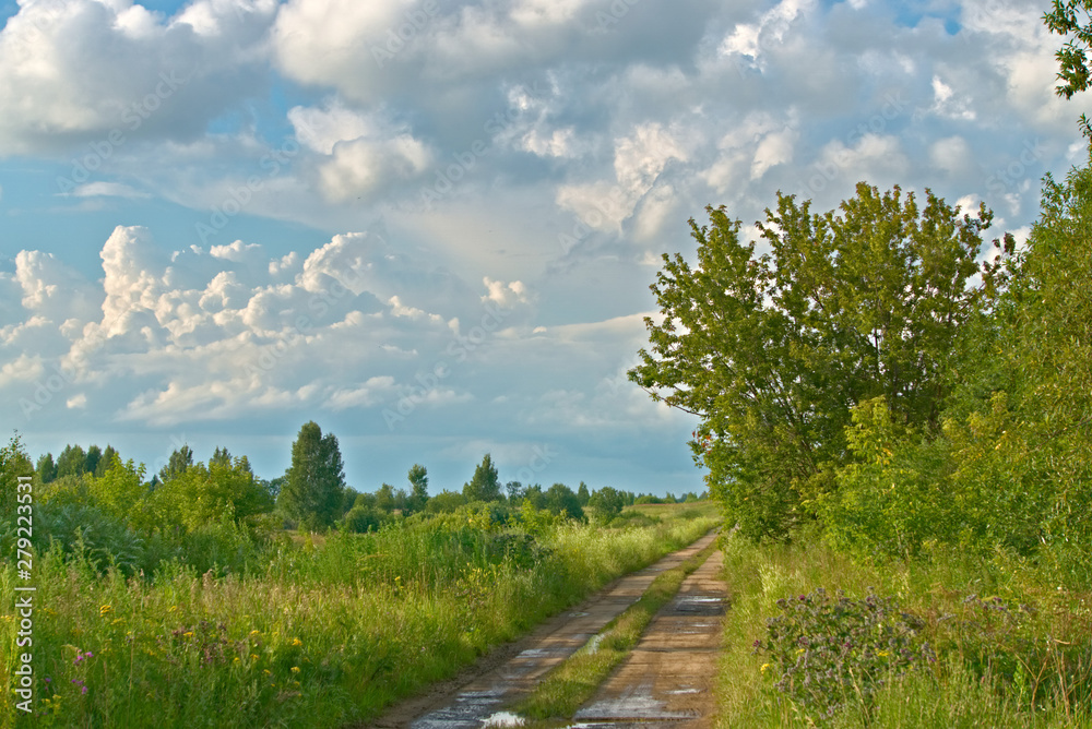 Meadows, forest, country road on a cloudy July day. Kostroma region, Russia.