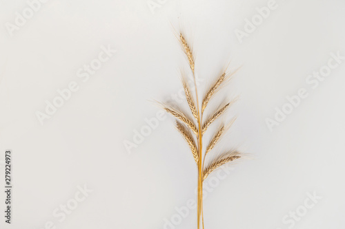 Rye bunch on white background, top view, flat lay