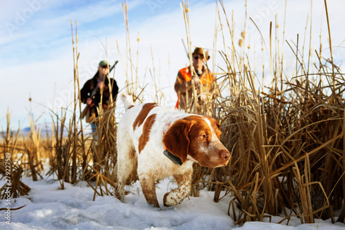 Hunting dog with two hunters
