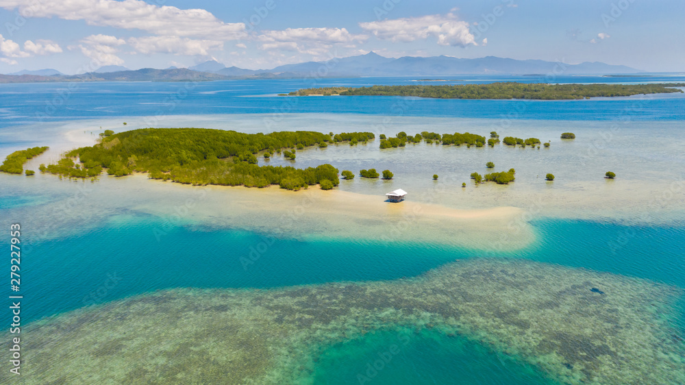 Mangrove trees on the atolls. Seascape with coral reefs and lagoons. Honda Bay,Philippines,aerial view,