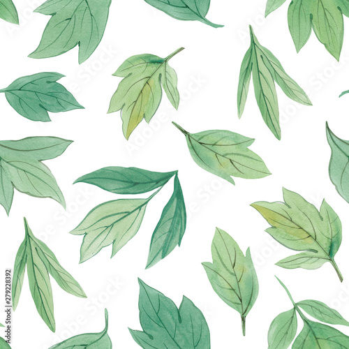 Seamless botanical pattern. Watercolor painted leaves. Design element. Elegant leaves for art design. Hand painted leaves on white background.