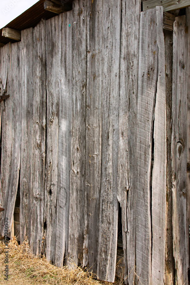Obraz premium old wood texture background