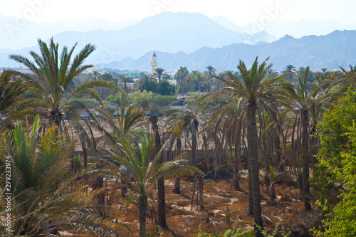 Vista desde la Torre de la Mezquita de Al Bidyah, Emirato de Fujairah, Emiratos Árabes Unbidos, Golfo Pérsico photo