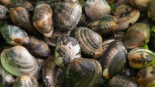 Italian clams