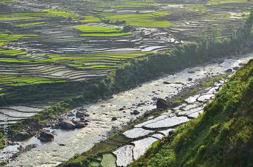 Wallpaper Mural ベトナムのサパ　モン族の村　美しい棚田と夕暮れ Torontodigital.ca