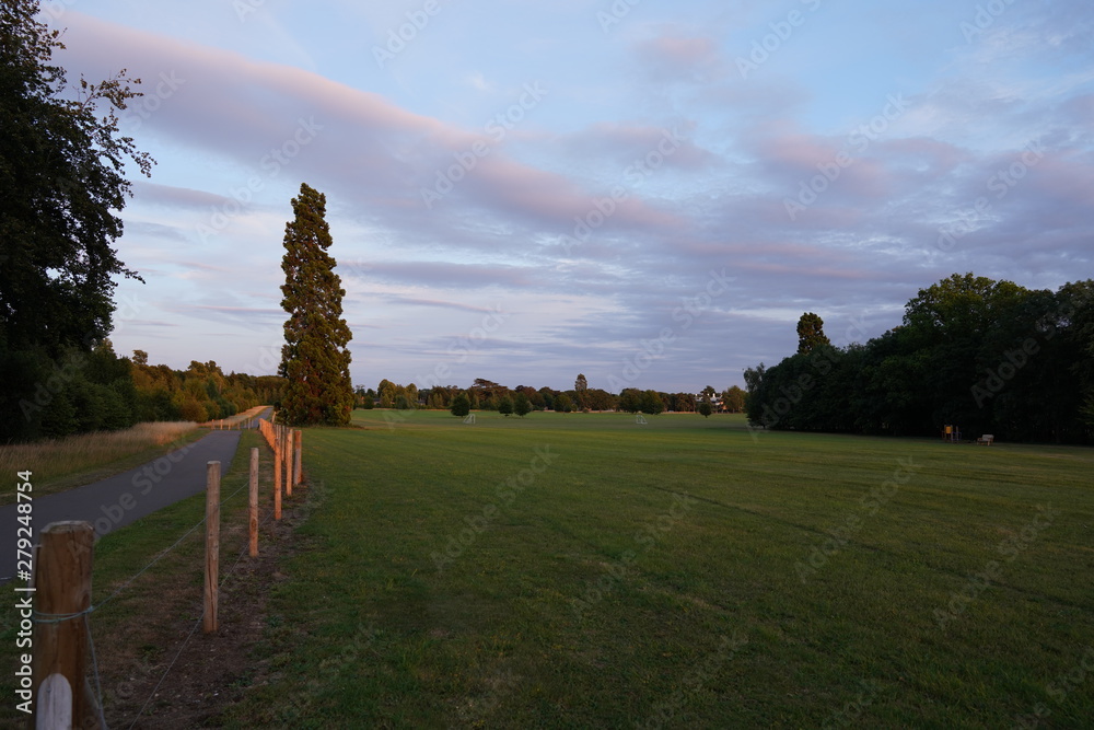 Naklejka premium fresh green sunset landscape and blue sky with clouds