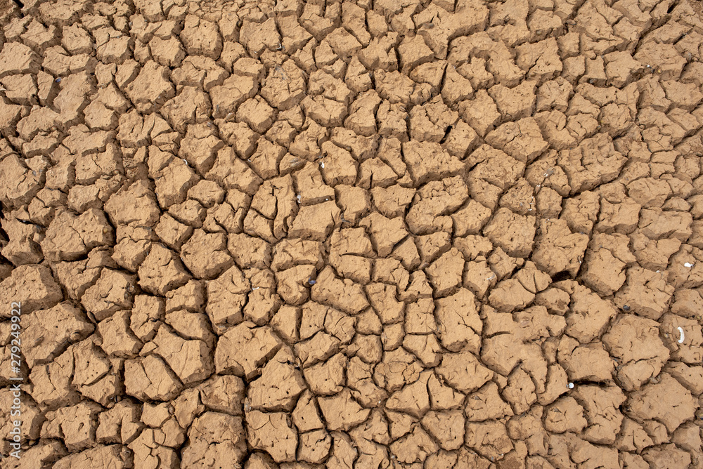 Marsh land with dry and cracked ground. Global warming background. Marsh land with dry and cracked ground. Global warming background.