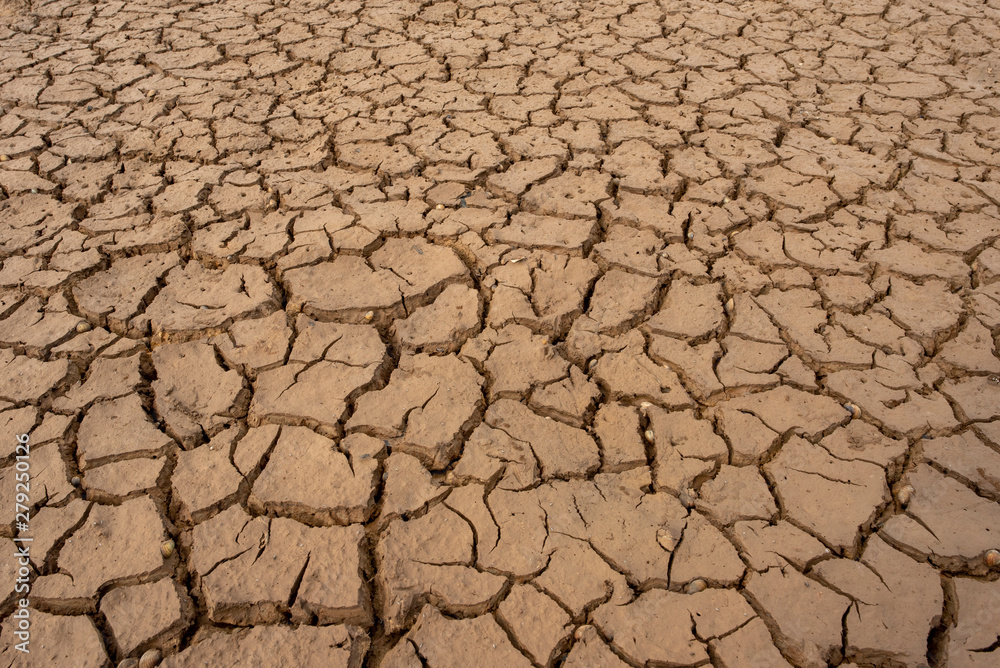 Marsh land with dry and cracked ground. Global warming background. Marsh land with dry and cracked ground. Global warming background.