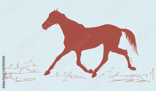 isolated colored horse silhouette  on colored background 