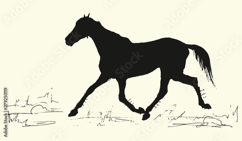 isolated black  running horse silhouette on colored background and place for inscription