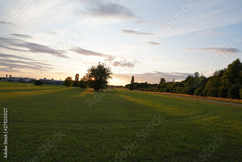 fresh green sunset landscape with blue sky and clouds