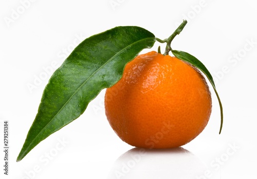 Fresh picked orange