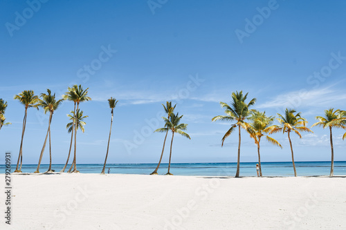 tropical beach with palm trees © SHOTPRIME STUDIO