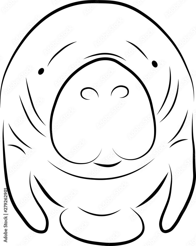 Fototapeta premium Manatee